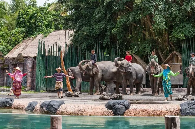 Bali Safari and Marine Park_ Back For More